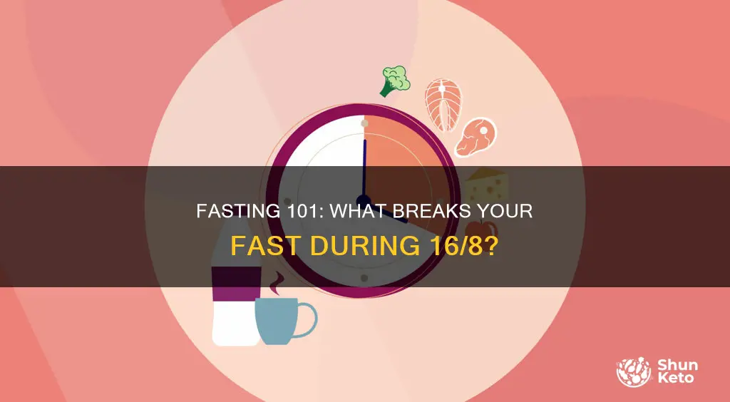 what counts as breaking your fast on 16 8 diet