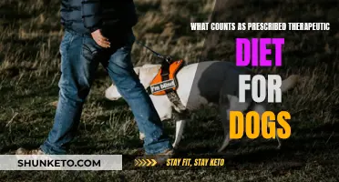 Therapeutic Dog Diet: Prescribed Food Options Explored