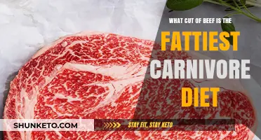 Carnivore Diet: Fattest Beef Cuts for Your Health