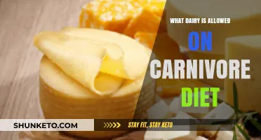Carnivore Diet: Dairy Products to Include