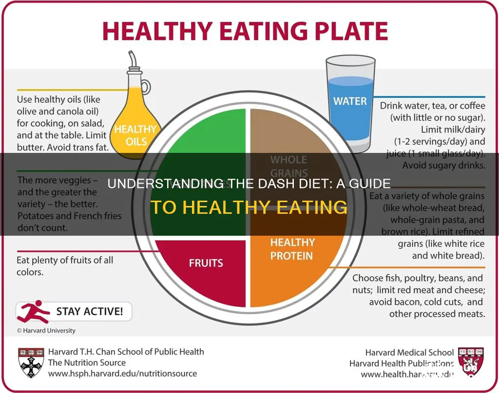 what dash diet mean