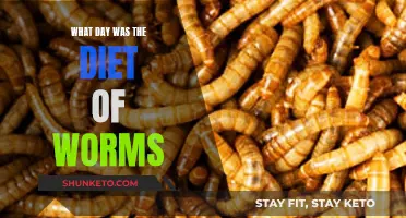 The Diet of Worms: A Historical Event in January 1521