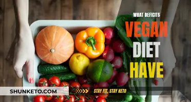 Vegan Diets: Nutritional Deficits and How to Address Them