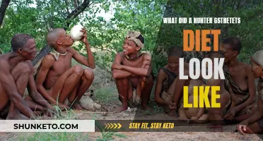 Hunter-Gatherer Diet: What Did They Eat?