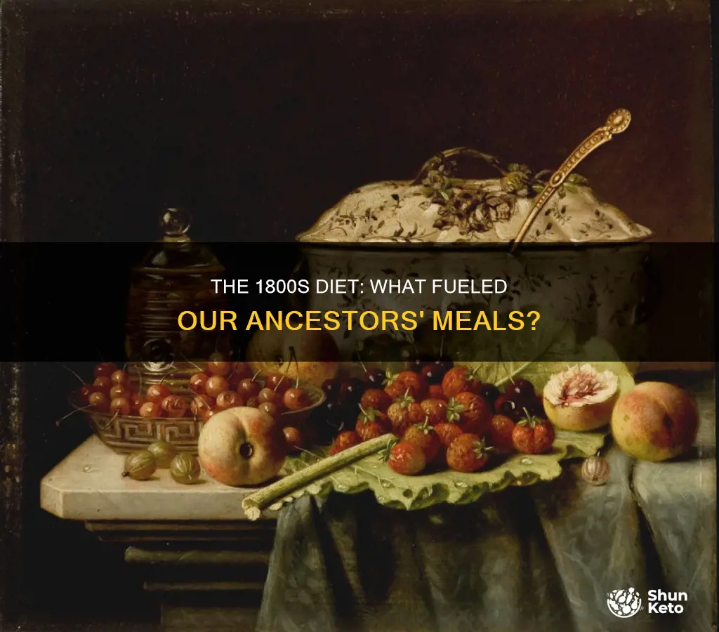 what did an 1800 diet consist of