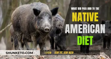 How Pigs Influenced Native American Diets
