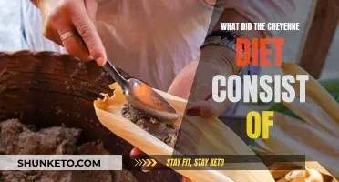 Cheyenne Diet: Traditional Food and Nutrition of Native Americans