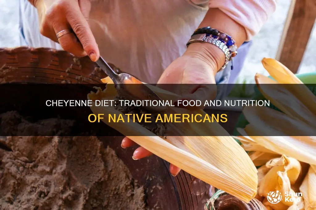 what did the cheyenne diet consist of