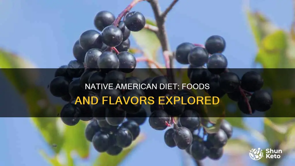 what did the native american diet consist of