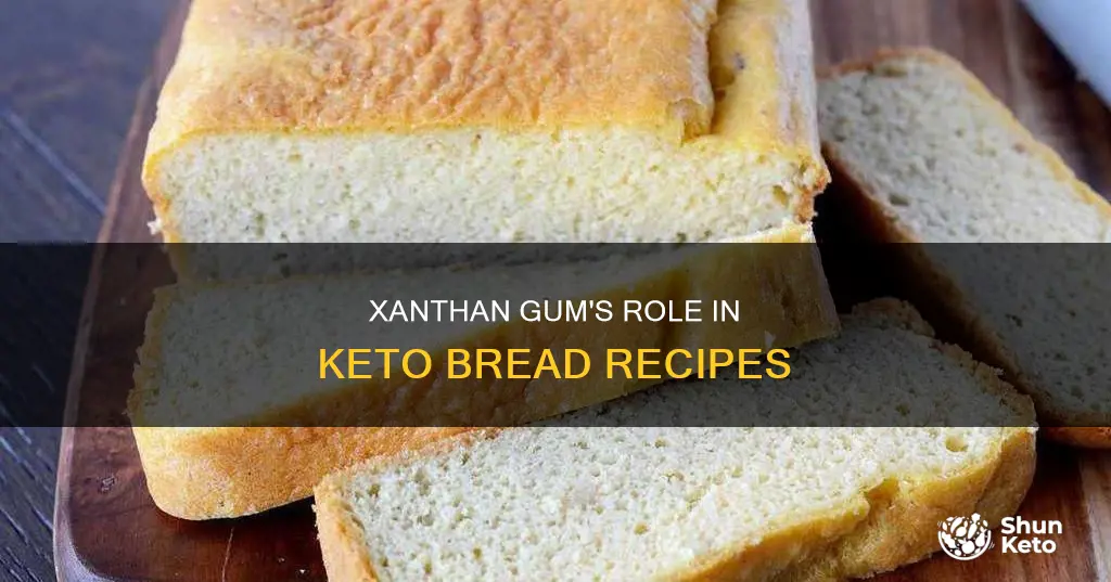 what dies xanthum gum do to keto bread recipes