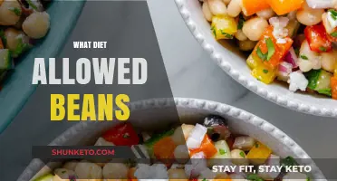 Best Bean-Friendly Diets: Eating Healthy and Hearty