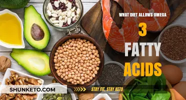 Omega-3 Rich Diets: What to Eat