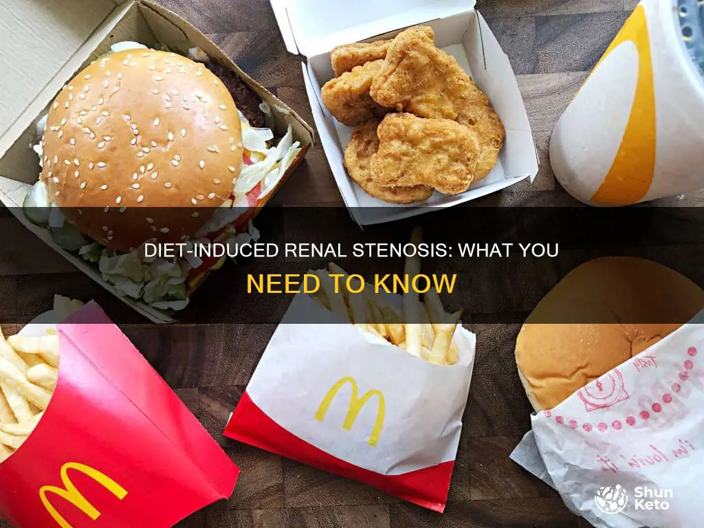 what diet cause renal stenosis