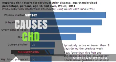 Diet's Role in Causing Coronary Heart Disease