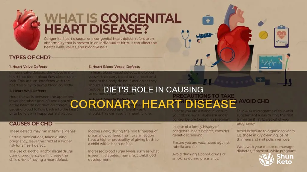 what diet causes chd
