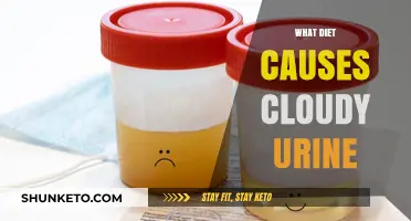 Cloudy Urine: Diet and Dehydration