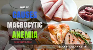Diet-Induced Macrocytic Anemia: What You Need to Know