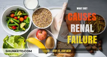 Diet-Induced Renal Failure: What You Need to Know