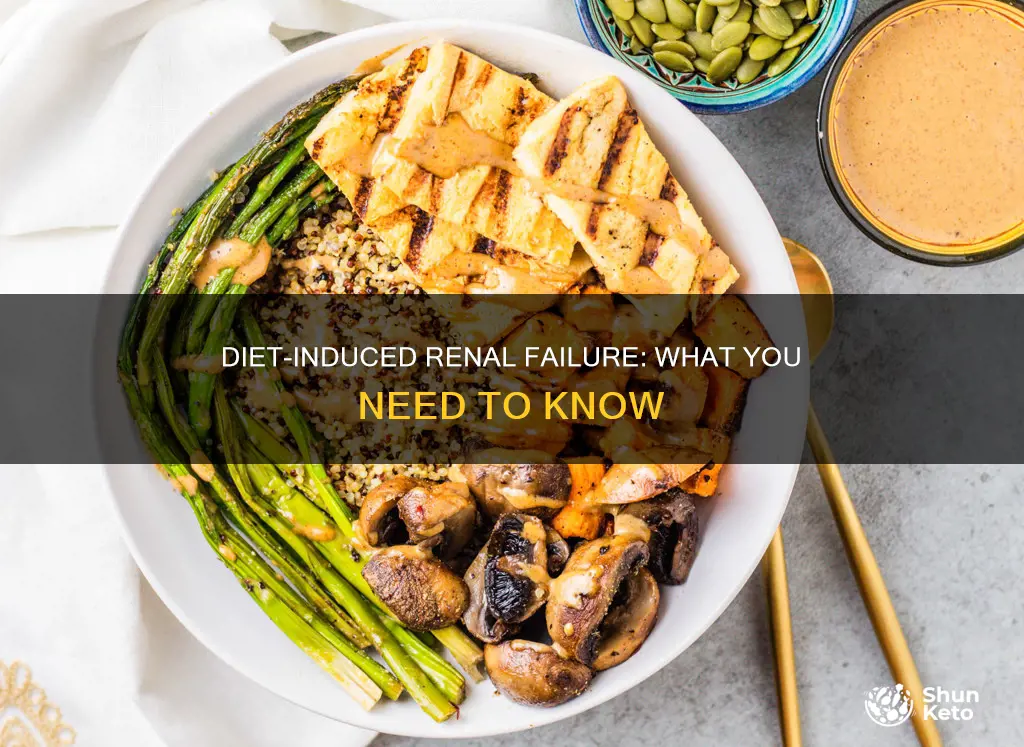 what diet causes renal failure