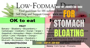 Diet Adjustments to Reduce Stomach Bloating