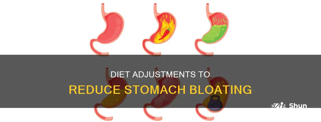 what diet changes are there for stomach bloating