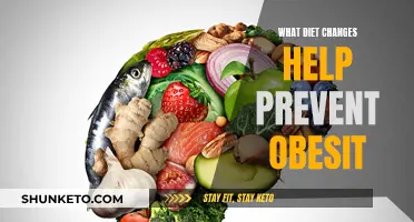 Dietary Tweaks to Prevent Obesity: A Guide