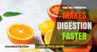Digestion Speed: The Diet Composition Connection