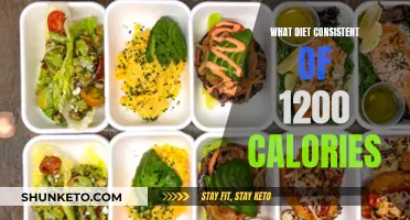 Eating 1200 Calories: What Does a Day Look Like?