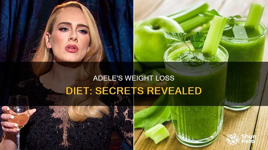 what diet did adele use