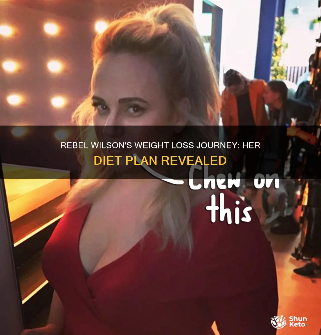 what diet did rebel wilson go on