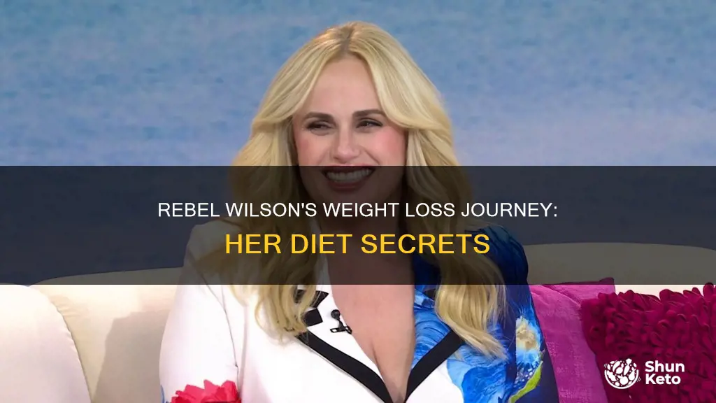 what diet did rebel wilson use