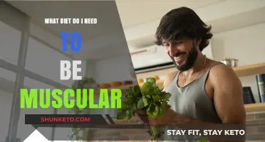 Building Muscle: The Right Diet for You