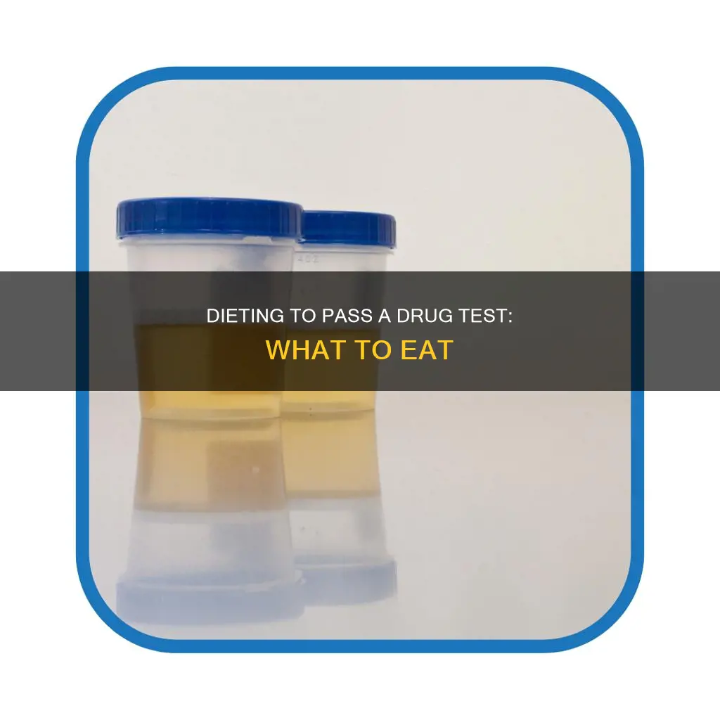 what diet do i need to pass a drug test