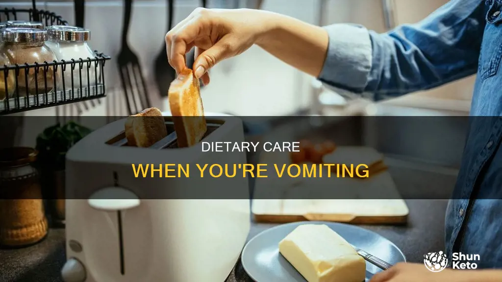 what diet do you need when you are throwing up