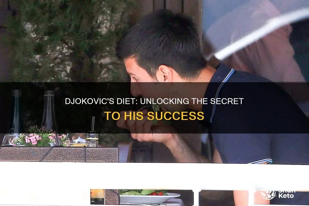 what diet does djokovic follow