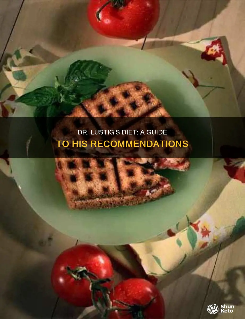 what diet does dr lustig recommend