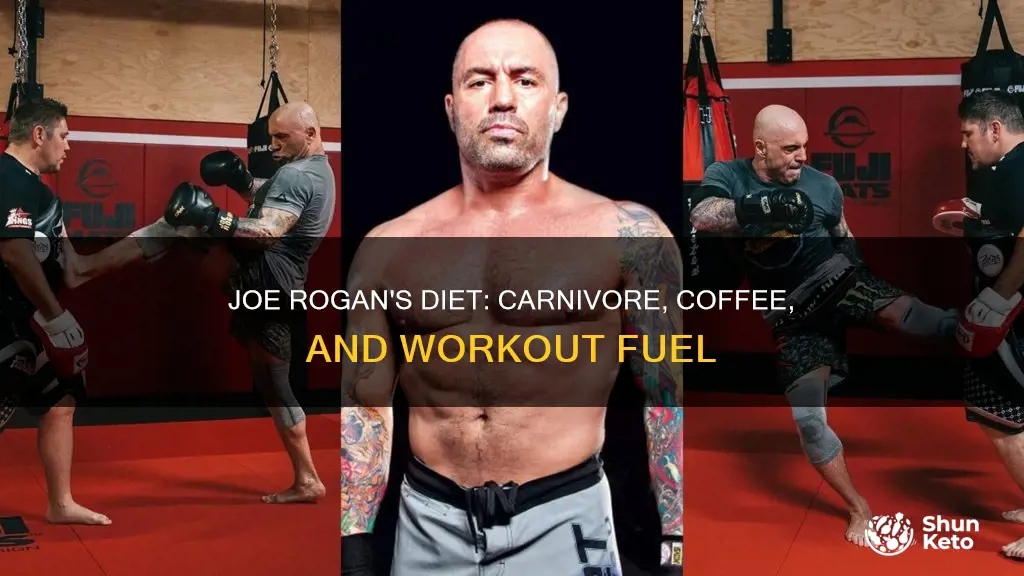 what diet does joe rogan follow