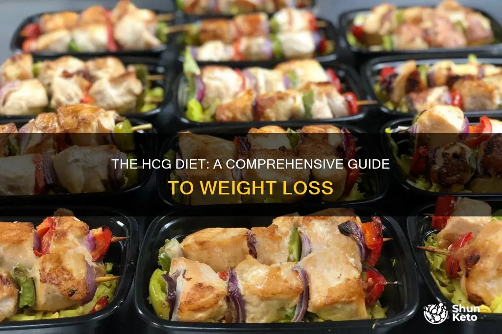 what diet does you do on hcg