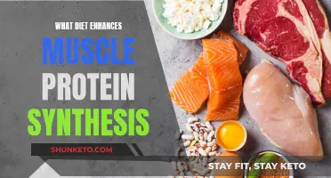 Muscle Growth and Diet: Enhancing Protein Synthesis