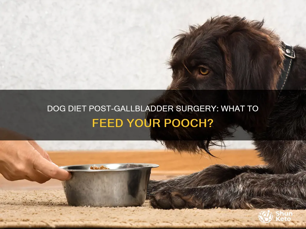 what diet for a dog with gallbladder surgery