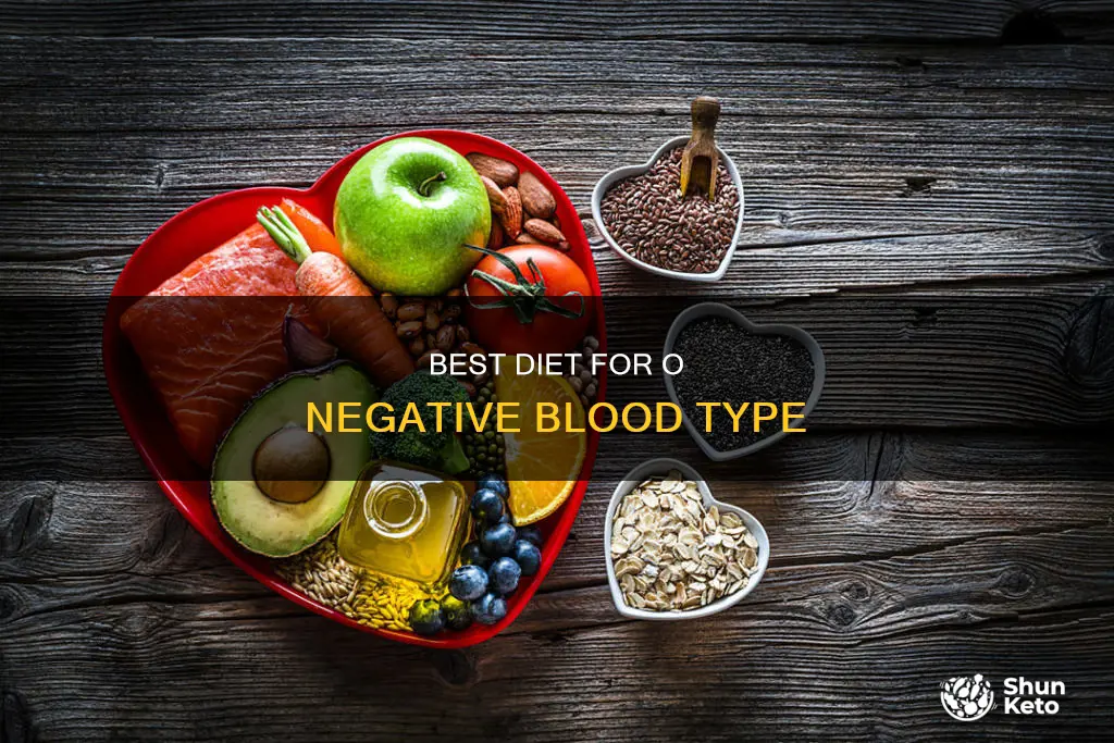 what diet for o negative blood type