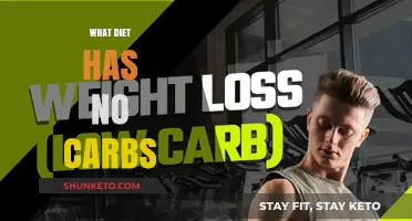 Carb-Free Diets: A Comprehensive Guide to No-Carb Eating