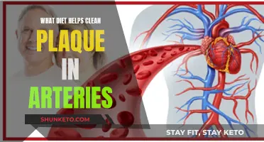 Clear Arteries, Healthy Heart: Best Diet for Plaque Removal