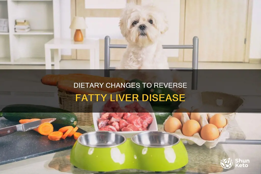 what diet helps fatty liver disease