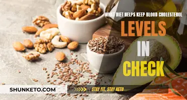 Cholesterol-Lowering Diets: What to Eat and What Not to Eat