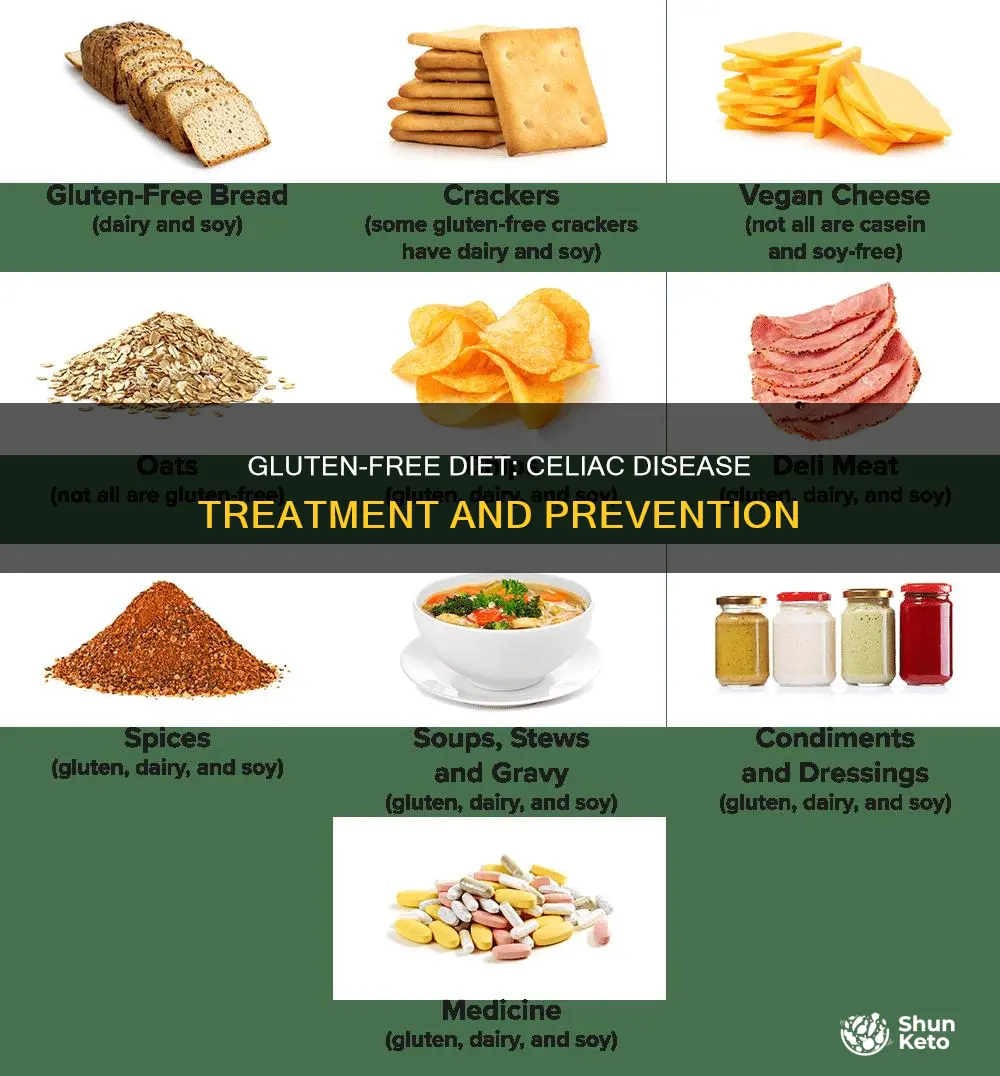 what diet helps prevent or treat celiac disease