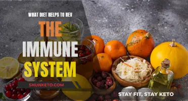 Boosting Immunity: The Best Dietary Approach