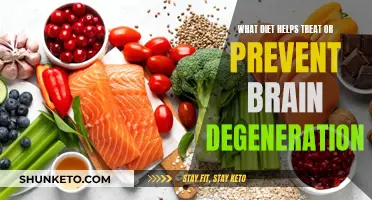 Brain-Boosting Diets: Preventing Degeneration with Food
