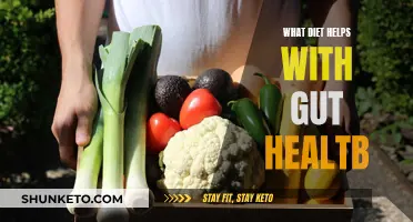 Healing Diets: How to Eat for a Healthy Gut