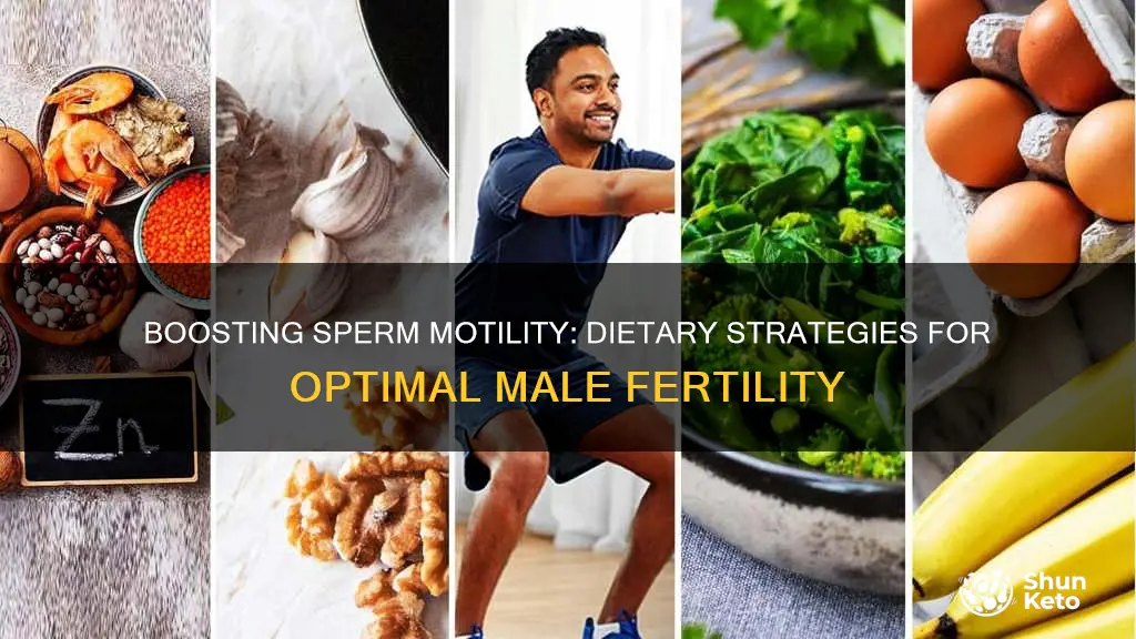 what diet increase sperm motility